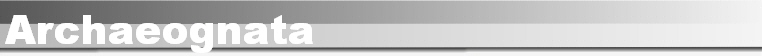 Archaeognata