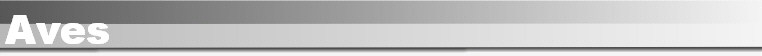 Aves
