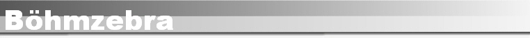 Bhmzebra