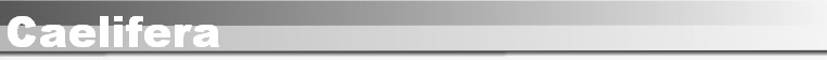 Caelifera