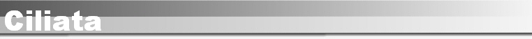 Ciliata