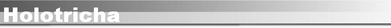 Holotricha