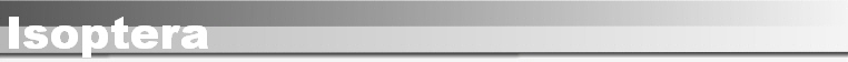 Isoptera