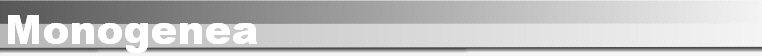 Monogenea
