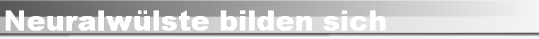 Neuralwlste bilden sich