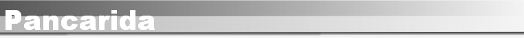 Pancarida