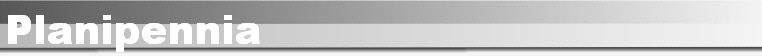 Planipennia