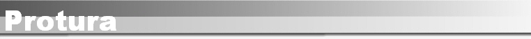 Protura