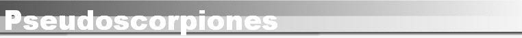 Pseudoscorpiones