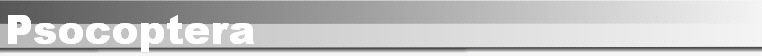 Psocoptera
