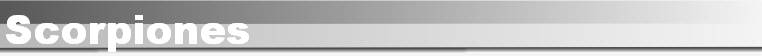 Scorpiones