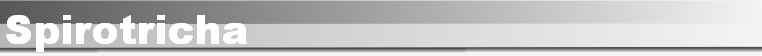 Spirotricha