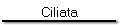 Ciliata