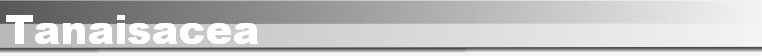 Tanaisacea