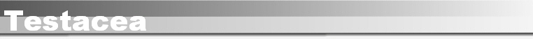 Testacea