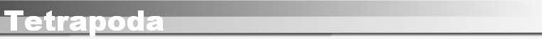 Tetrapoda