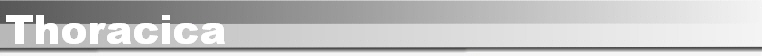 Thoracica